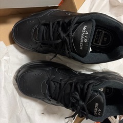 NIKE AIR MONARCHの画像