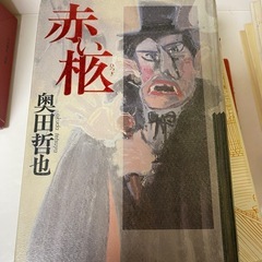 日本の文学　小説　11冊セットの画像