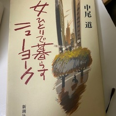 日本の文学　小説　11冊セットの画像
