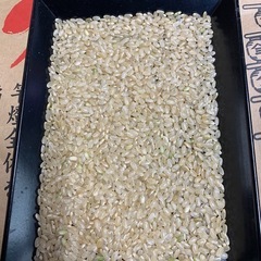 にかほ市産　令和7年　萌えみのり　玄米30kgの画像