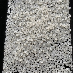 にかほ市産　令和7年　萌えみのり　玄米30kgの画像