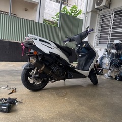 シグナス4型の画像