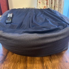 ニトリビーズソファクッションの画像