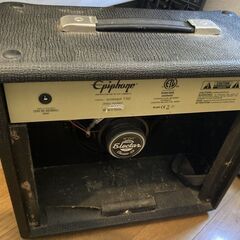 【ギターアンプ】Epiphone Slash "Snakepit" 15Gの画像