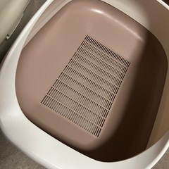 ねこちゃん　トイレ　の画像