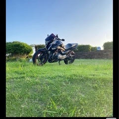 gsr250の画像