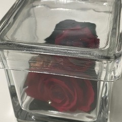 プリザーブドフラワー/ローズの画像