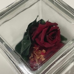 プリザーブドフラワー/ローズの画像