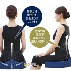 【決まりました】美品　腰痛対策クッションの画像