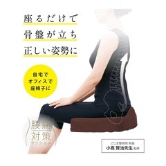 【決まりました】美品　腰痛対策クッションの画像