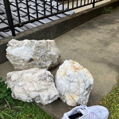 白色系の庭石の画像