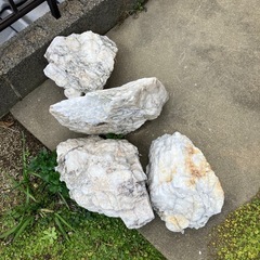 白色系の庭石の画像