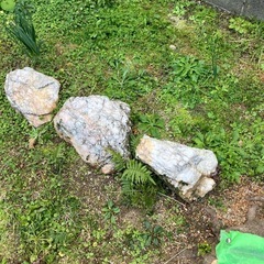 白色系の庭石の画像