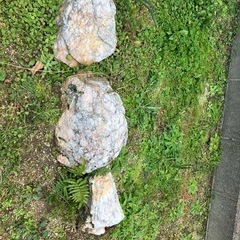 白色系の庭石の画像