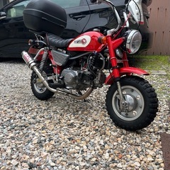 モンキー88ccの画像