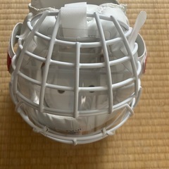 空手 ヘッドガード フェイスガード付き 白の画像