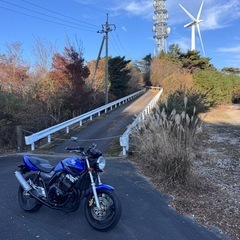 CB400sfNC39ブルーの画像