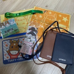 【お値下げ可能です‼️ぬいぐるみのみも可能❗️】競馬グッズの画像