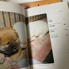 竹山道雄　アンネフランク　おらほの猫ら　聴導犬の涙　など　12冊セットの画像