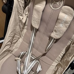 サイベックス　リベル　2024 ベージュの画像