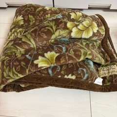 毛布　シングルの画像