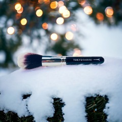 メイクブラシセットの画像