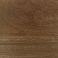 【無料】フランスベッド ベッドフレーム クイーン PR70-06C ※フレームのみの画像