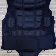 スノーボード用プロテクターいろいろ　ユーズドの画像