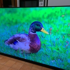 ⭕️ ドウシシャ ORION 4K テレビ 65インチ 65型　OL65XD100 2020年製 ⭕️の画像