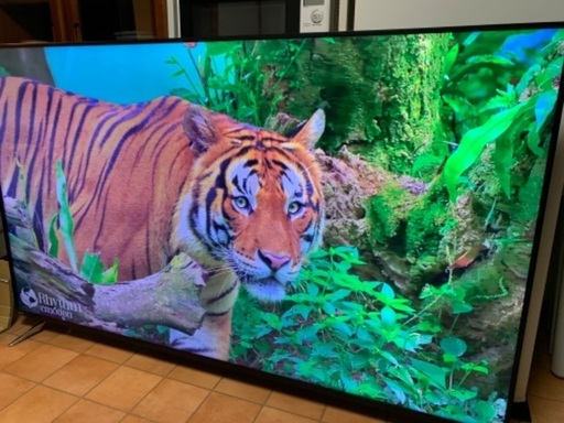 ⭕️ ドウシシャ ORION 4K テレビ 65インチ 65型 OL65XD100 2020年製 ⭕️ 検索 60インチ 60型 55
