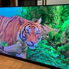⭕️ ドウシシャ ORION 4K テレビ 65インチ 65型　OL65XD100 2020年製 ⭕️の画像
