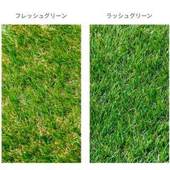 人工芝 モダンデコ 未使用の画像