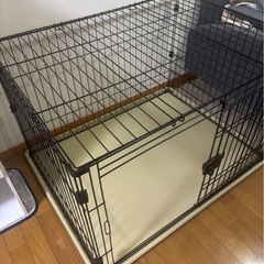 犬のサークルの画像
