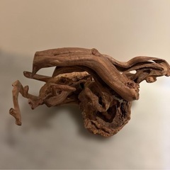 大木の幹　鑑賞用　インテリア　アンティーク　流木　置物　天然木 芸術の画像
