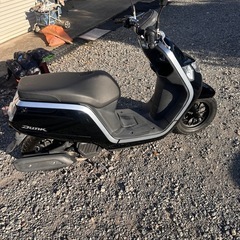 原付スクーター ホンダ  ダンクの画像