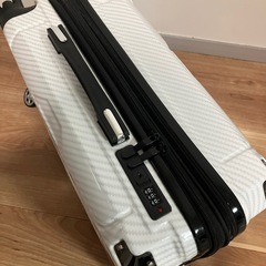 【TSAロック搭載】カーボン調 ハードキャリーケース ホワイト 機内持込可サイズの画像