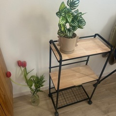 オシャレ　シェルフとIKEA バスケットの画像