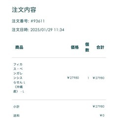 観葉植物3点フィカスベンガレンシス沖縄産　の画像