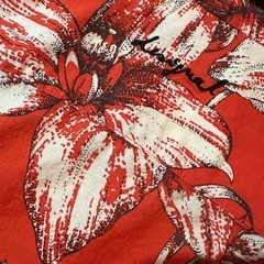 スペインブランド　Desigual  長袖シャツ　【赤L】の画像