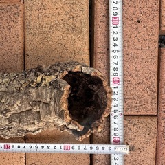 パイプコルクの画像