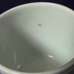 湯呑み　の画像