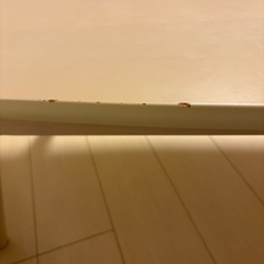 【0円】ニトリ　ローテーブルの画像