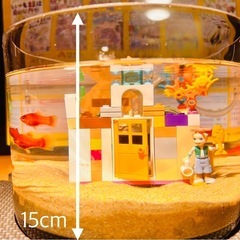 レッドプラティ➕飼育フルセットの画像