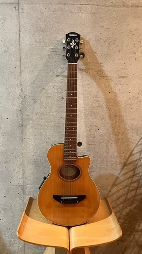 【機材処分】YAMAHA  APXT-INA