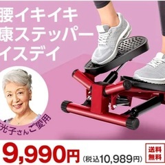 健康ステッパーナイスデイの画像