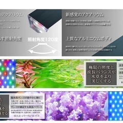 ゼンスイ LED Nano Levil 600 Wの画像