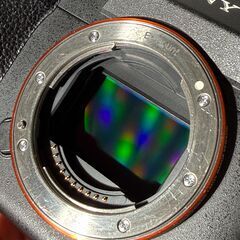 Sony A7R IV A7R4 シャッター数 50000の画像