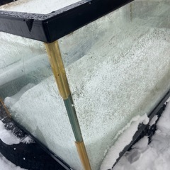 90センチ水槽　熱帯魚　魚　　アクアリウムの画像