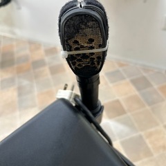 パルッキー　チコ　一応ジャンク扱いの画像