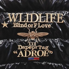 新品 ロベルトカバーニ軽量　ダウンジャケット　50サイズ 蜂 刺繍 豪華の画像